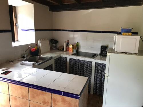 una cucina con lavandino e frigorifero di LA COTARAXA a Piloña