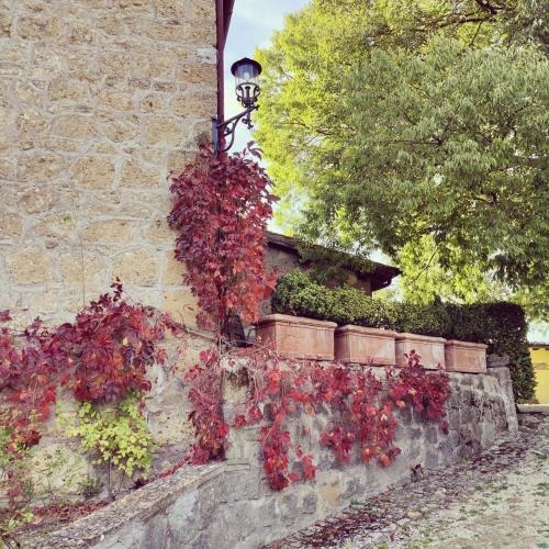 a brick wall with red plants growing on it at La Locanda Della Chiocciola in Orte