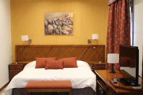 Gallery image of Hotel El Volcán in El Volcán