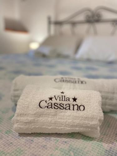 Pugliaholidayplus - VILLA CASSANO photo 3