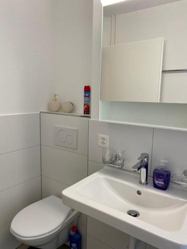 a white bathroom with a toilet and a sink at City Center Premium Apartment - Buchs SG in Buchs