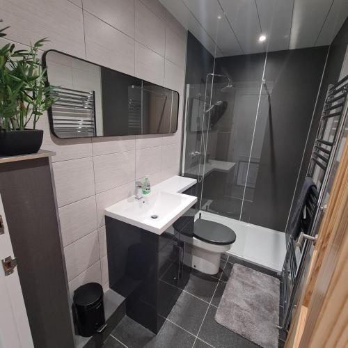 a bathroom with a sink and a toilet and a shower at Kelvin Suite in Jesmond