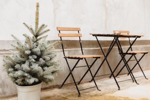 a christmas tree in a pot next to two tables and a chair at ALBERT RESIDENCE Aparthotel in Braşov