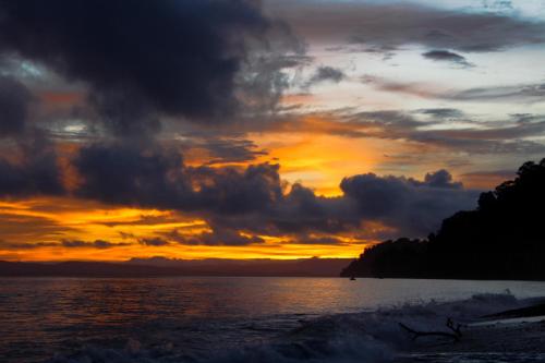 a sunset on the beach with the ocean at Dolphin Quest Jungle Lodge in Piedras Blancas