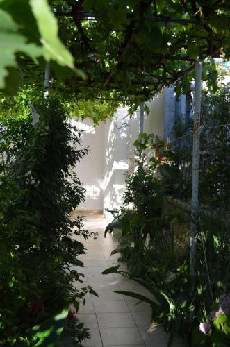 a garden with a bunch of plants and trees at Villa Lanca in Fažana