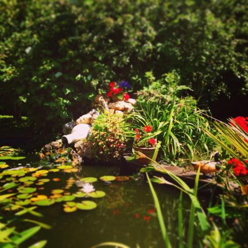a garden with a pond with flowers and plants at Chambres La Guignardais in Lamballe
