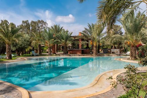 a large swimming pool with palm trees and a house at Domaine Alma Marrakech in Marrakesh