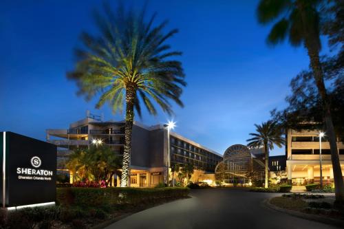 uma palmeira em frente a um edifício em Sheraton Orlando North em Orlando