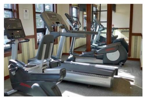 Fitness centrum a/nebo fitness zařízení v ubytování Snowshoe Mountain Studio! Renovated!
