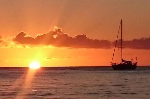 a sail boat in the ocean at sunset at Superbe studio, à 20 mètres de la plage, accès direct Grande Plage Diamant in Le Diamant