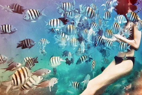 Hosté ubytování Superbe studio, à 20 mètres de la plage, accès direct Grande Plage Diamant