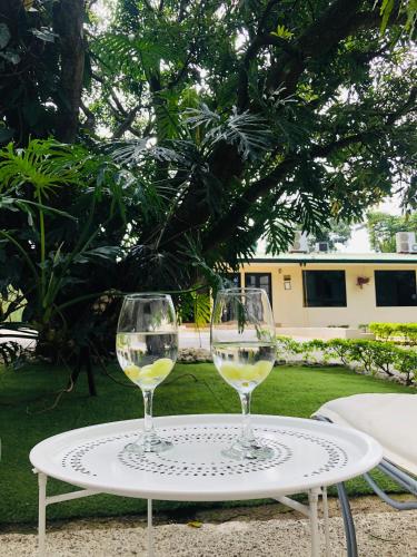 two glasses of white wine sitting on a table at Hotel Mango Airport in Alajuela City