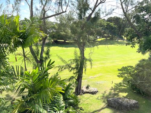  Rockley Golf 810 is a 2 bedroom, 2 Bathroom 1st floor Apartment with pool -  Room  picture :   TV    Telephone    Air conditioning                           