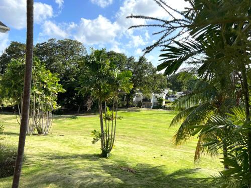  Rockley Golf 810 is a 2 bedroom, 2 Bathroom 1st floor Apartment with pool -  Room  picture :   TV    Telephone    Air conditioning                           