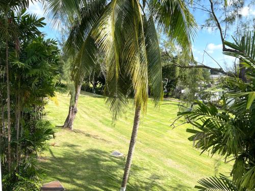  Rockley Golf 810 is a 2 bedroom, 2 Bathroom 1st floor Apartment with pool -  Room  picture :   TV    Telephone    Air conditioning                           