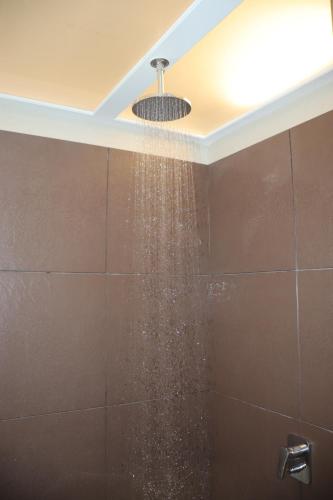 a bathroom with a shower with a ceiling at Hotel Dwarka Grand in Aurangabad