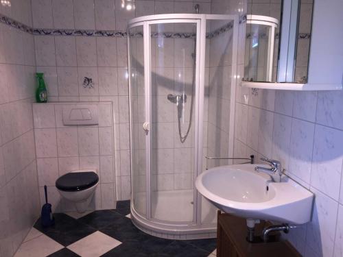 ein Bad mit einer Dusche, einem Waschbecken und einem WC in der Unterkunft Gutspark Schwarbe mit Reiterhof - Ferienhaus 3 in Mattchow