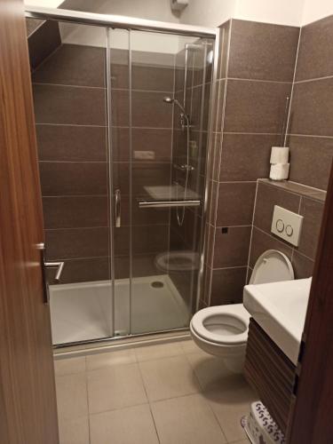 łazienka z prysznicem i toaletą w obiekcie Mezonetový Apartmán Kouty nad Desnou w mieście Loučná nad Desnou