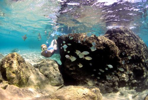a person swimming in the water next to a rock at Thonga Beach Lodge in Mabibi