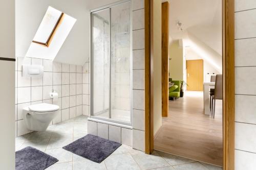 a bathroom with a toilet and a walk in shower at Ferienwohnung Josi Unterweißbach in Unterweißbach