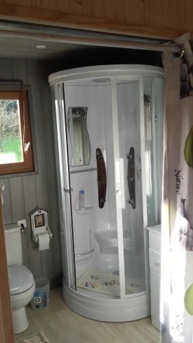 een badkamer met een douche en een toilet bij au calme dans Etretat in Étretat