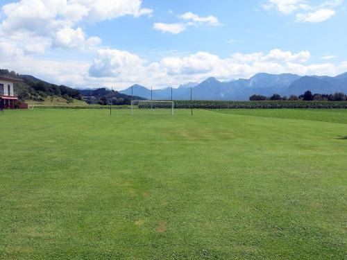 a large grass field with mountains in the background at Holiday Home Wiegele by Interhome in Aich