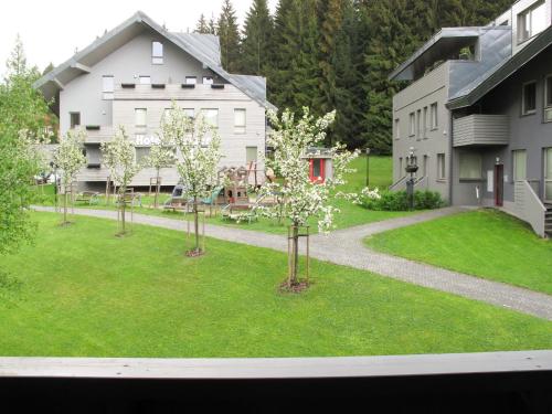a view from a window of a yard with trees at Studio Harrachov - HRA140 by Interhome in Harrachov