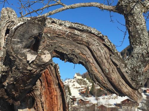 a tree branch with a view of a village at Apartment Aragon M86 by Interhome in Fiesch
