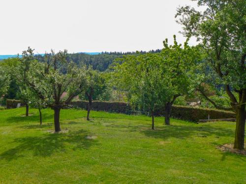 a row of trees in a field with green grass at Chalet Hügli by Interhome in Bure