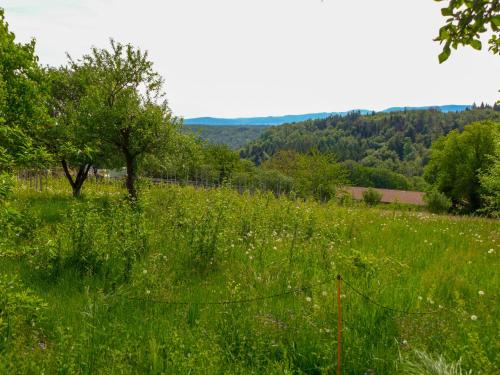 a field of green grass with a fence in it at Chalet Hügli by Interhome in Bure