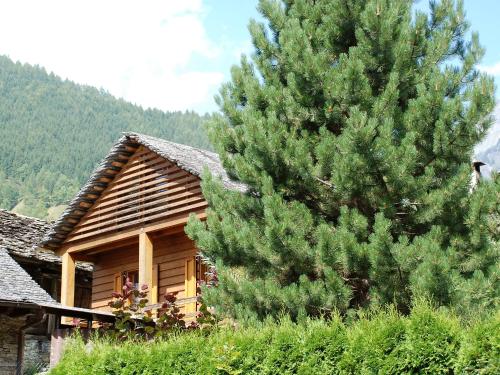 Naturlandschaft in der Nähe des Chalets