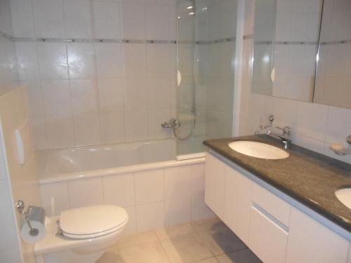 a bathroom with a toilet and a sink and a shower at Apartment Chalet Nagano by Interhome in Grindelwald