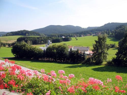 a view of a field with flowers in the foreground at Apartment Fritz by Interhome in Zachenberg