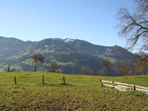 a fence in a field with a mountain in the background at Apartment Eberharter-1 by Interhome in Hart im Zillertal