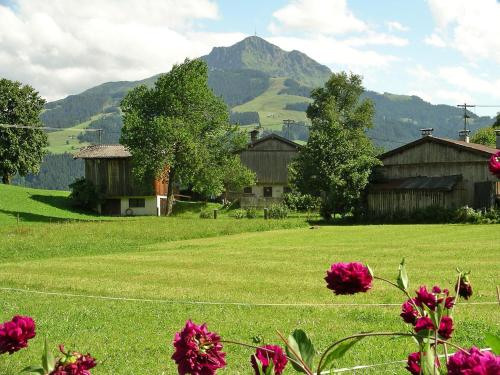a green field with buildings and flowers in the foreground at Holiday Home Fliegerklause by Interhome in Rettenbach