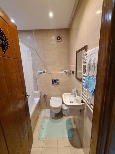 a small bathroom with a toilet and a sink at Appartement Elyssa in Tunis