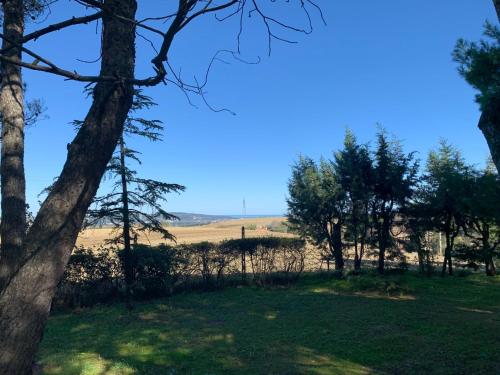 uma vista para um campo atrás de algumas árvores em Holiday Home Maria Rosaria by Interhome em Ginestreto