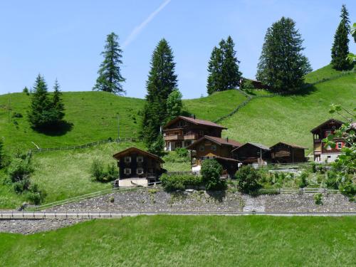 a house on a hill with green grass at Apartment Montana by Interhome in Langwies