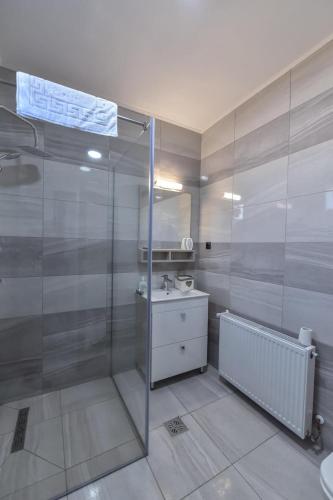 a bathroom with a glass shower and a sink at Pensiunea RAVHOUSE in Vadu Izei