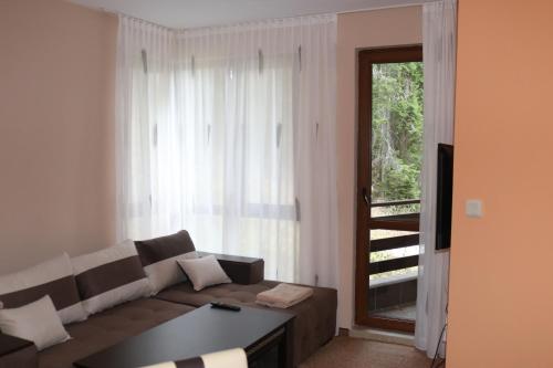 ein Wohnzimmer mit einer Couch und einem Fenster in der Unterkunft Winter Аpartments Gerovi in Pamporowo