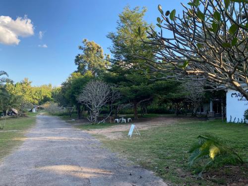 a dirt road with trees on the side of it at บ้านสวนวงศ์จินดารักษ์ in Phayao