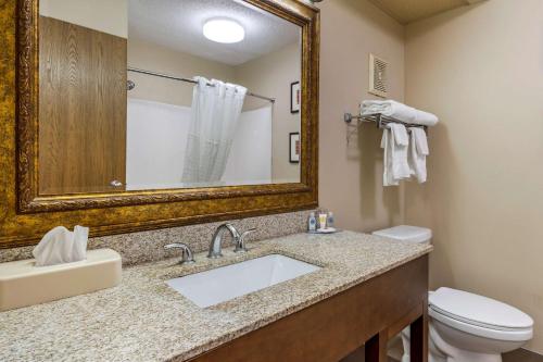 a bathroom with a sink and a toilet and a mirror at Comfort Inn Hamburg Area I-75 Lexington in Lexington