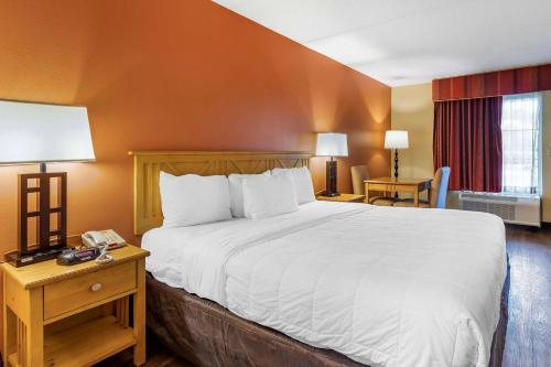 Ένα ή περισσότερα κρεβάτια σε δωμάτιο στο Econo Lodge Pigeon Forge Riverside