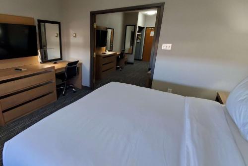 a hotel room with a bed and a desk and a television at Wingate by Wyndham Lethbridge in Lethbridge