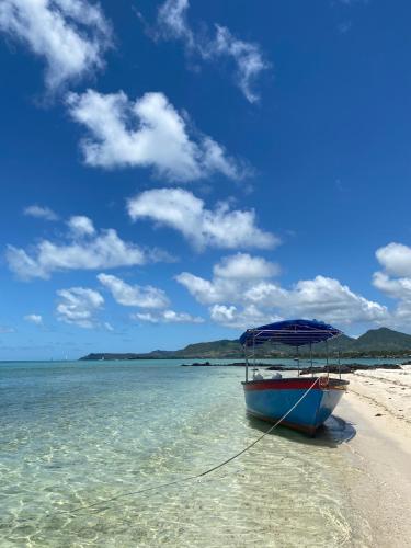 a boat with an umbrella on the beach at Otentic, Eco Tent Experience in Grande Rivière Sud Est
