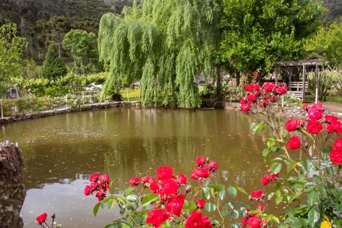 a pond in a garden with red flowers at Hospedagem Rural Recanto do Riacho in Urubici