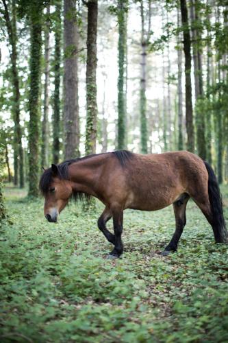 Domaine de Pan – Photos 5