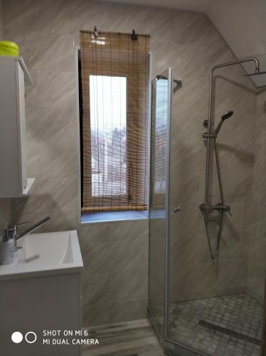 W łazience znajduje się prysznic i umywalka. w obiekcie Home and SPA w Kijowie