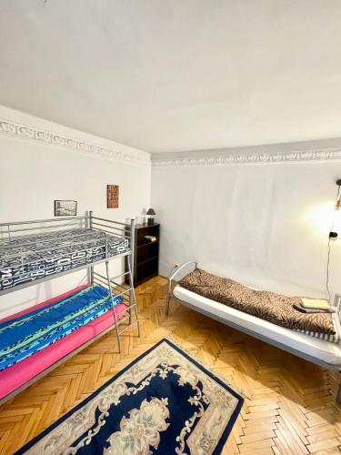 a room with two bunk beds and a rug at Mosaico Alfetta Hostel in Timişoara