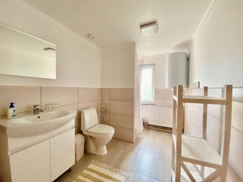 a white bathroom with a toilet and a sink at Krokus house in Verkhovyna